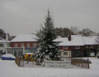 Tree on village green with snow and shops