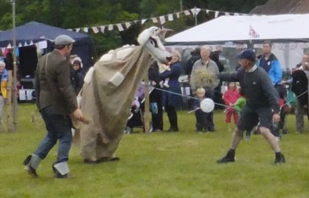 giant sheep being fed