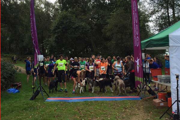 5 and 10 km start in woods 
